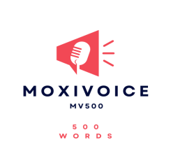 MV-500 - VO- 500 Words